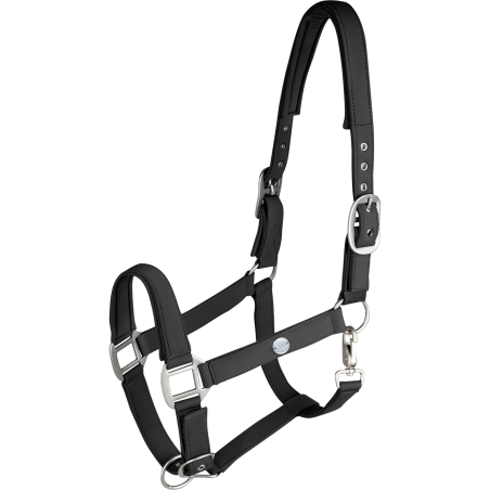 Caveção Waldhausen Trinidad