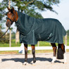 Manta de paddock Imperial Riding Basic com pescoço removível 300 g - Verde