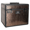 Caixa de escovagem Imperial Riding Shiny - Marrom / marrom croco