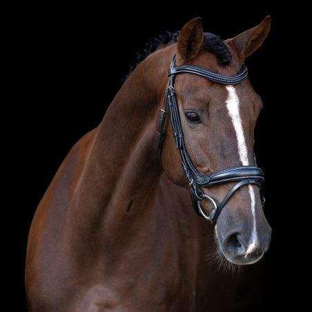 Brideira Imperial Riding com muserola inglesa curva