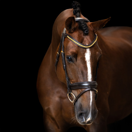 Bridão Imperial Riding combinado simples