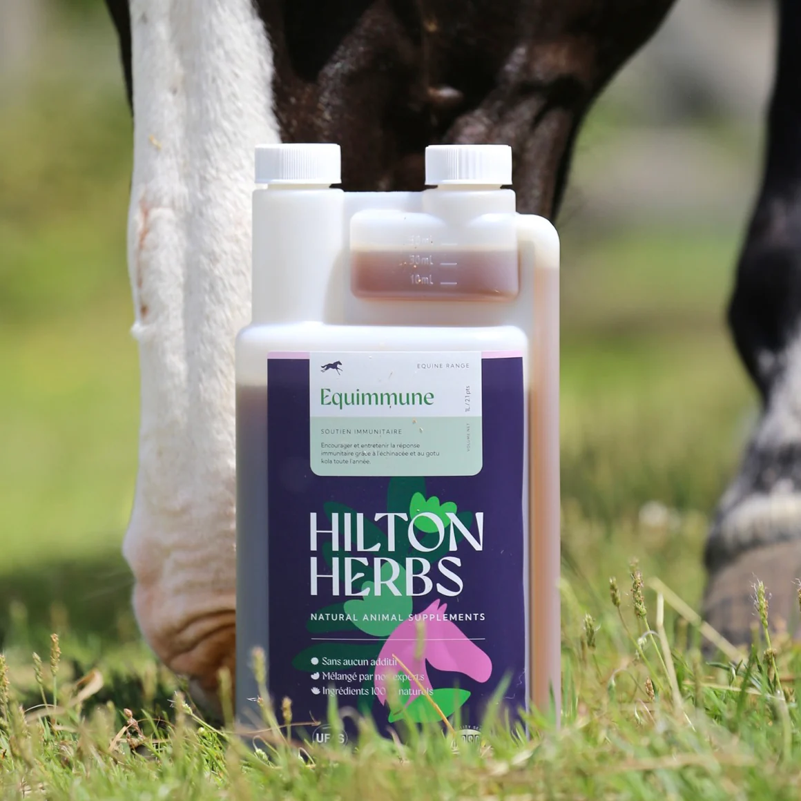 Equimmune Gold Hilton Herbs