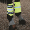 Polainas refletoras Equi-Flector® Shires - Laranja vivo
