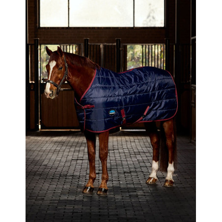 Manta de estábulo Weatherbeeta ComFiTec 210D Channel Quilt 220g