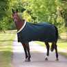 Camisa de estábulo Deluxe Shires - Verde