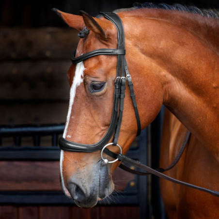 Bridão com noseband ergonómico Shires Velociti Rapida