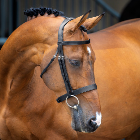 Bridão com focinheira Hunter Shires Velociti Lusso