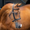 Bridão com focinheira Hunter Shires Velociti Lusso - Preto