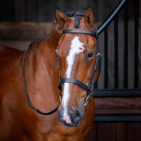 Bridão com cavençom Hunter Shires Velociti Rapida