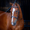 Bridão com cavençom Hunter Shires Velociti Rapida - Havana