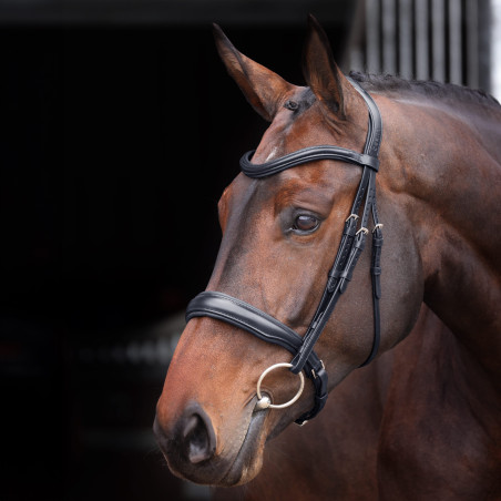 Bridão com cavezão acolchoado Elite Shires Velociti Lusso