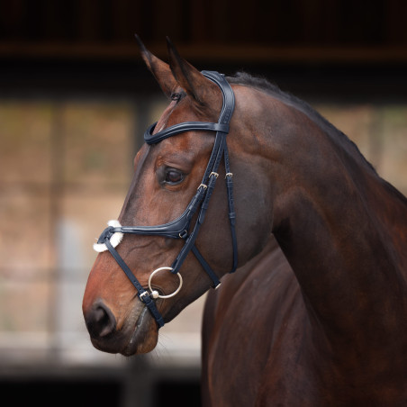 Bridão com muserola cruzada Elite Shires Velociti Lusso