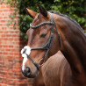 Bridão com noseband cruzado Opus 180M Shires Velociti Lusso - Preto