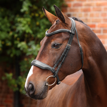 Bridão de dressage com noseband Opus 180M Shires Velociti Lusso
