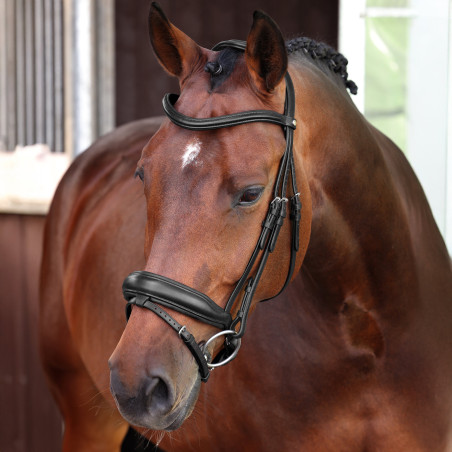 Bridão de dressage com muserola francesa Elite Shires Velociti Lusso