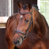 Bridão de dressage com muserola francesa Elite Shires Velociti Lusso - Havana