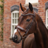 Bridão de dressage com muserola francesa Opus 180M Shires Velociti Lusso - Havana
