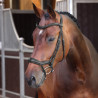 Bridão ergonômico com muserola francesa Elite Shires Velociti Lusso - Preto
