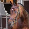 Bridão ergonômico com muserola francesa Elite Shires Velociti Lusso - Havana