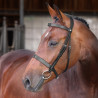 Bridão Hunter Elite Shires Velociti Lusso - Preto