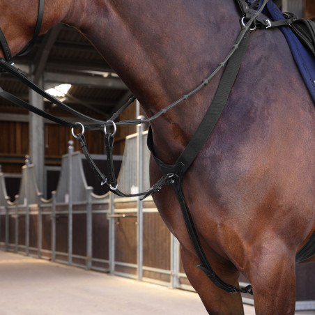 Peitoral elástico Elite Shires Velociti Lusso