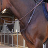 Peitoral Elite Shires Velociti Lusso - Havana