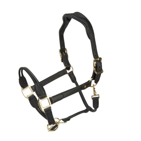 Cabresto de couro Soria Control Shires Velociti Lusso
