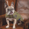 Casaco para cão em tweed Shires Digby & Fox - Xadrez vermelho/amarelo/azul