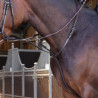 Martingale com anéis Elite Shires Velociti Lusso - Havana