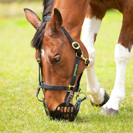 Cesto de pasto Shires Greenguard