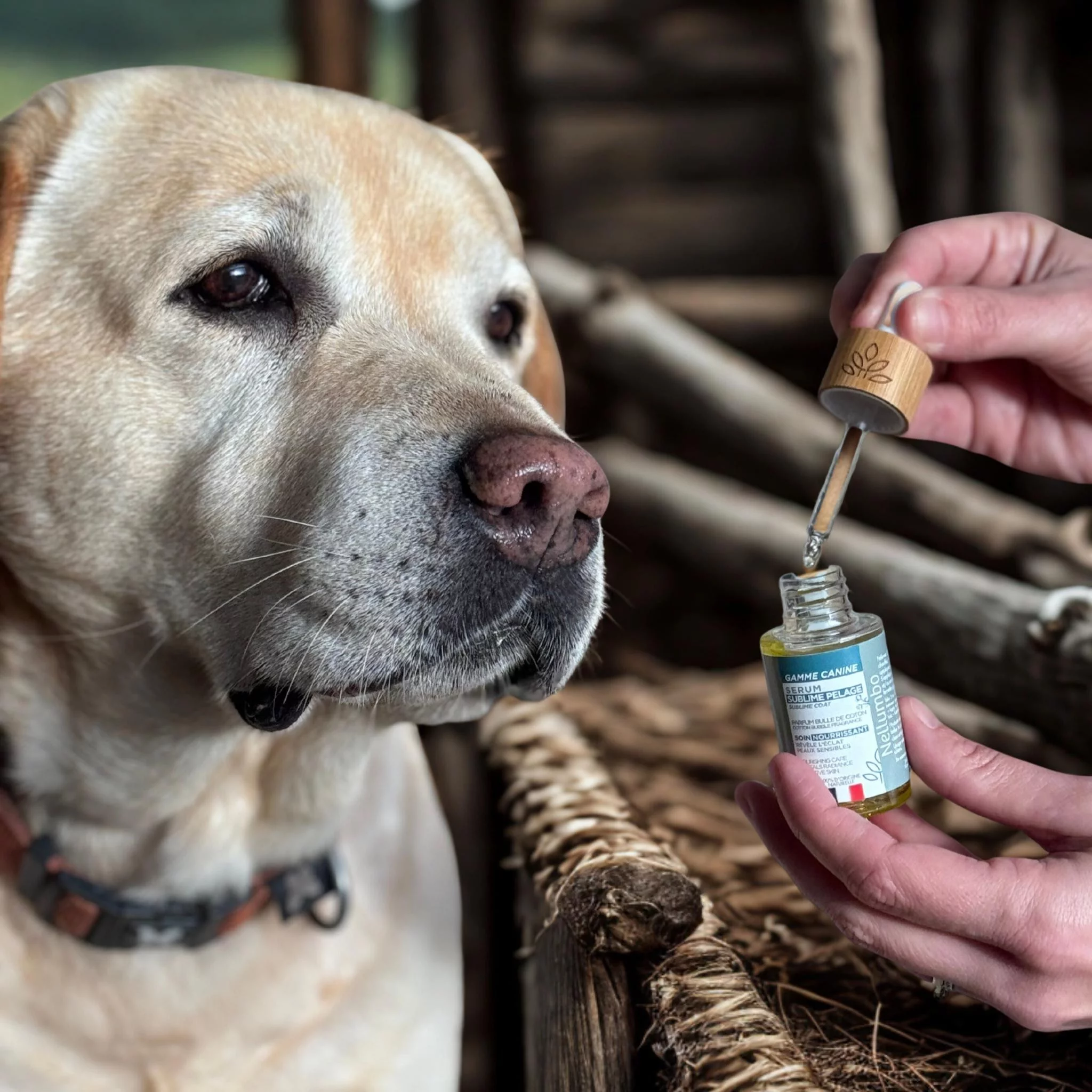 Sérum Sublime Pelagem Bolha de Algodão Nellumbo cães e gatos