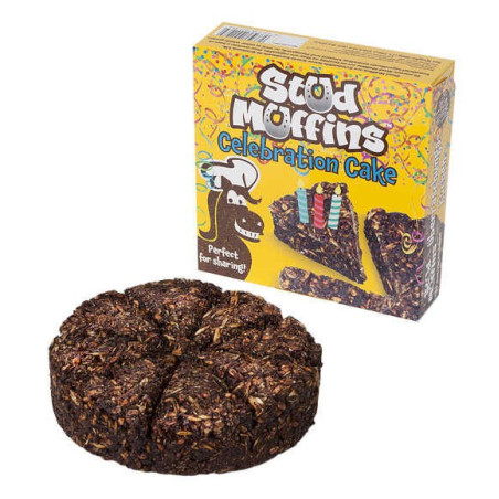 Bolinhos Stud Celebration Cake