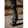 Guetes Cool&dry Equithème Fresh - Preto