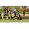 Almofada de sela LeMieux Loire Dressage Square - Azul gelo