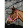 Cabrilha Norton Extra - Rosa