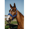 Cabeçada Equithème Breeze - Azul royal