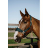 Cabeçada Equithème Breeze - Verde escuro