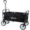 Carrinho quad Hippotonic - Preto