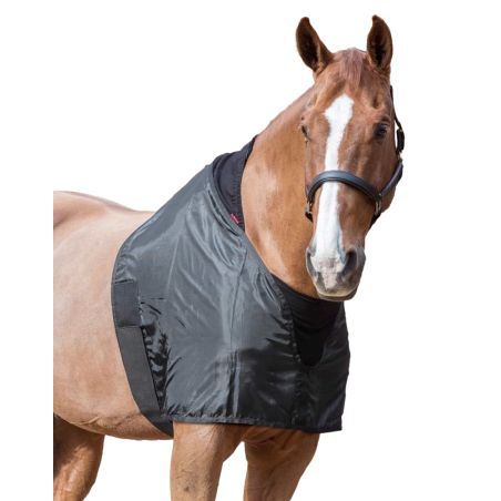 Protetor de ombros Lemieux