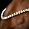 Frontal Imperial Riding Grande - Ouro