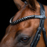 Frontal Imperial Riding Maxima - Preto