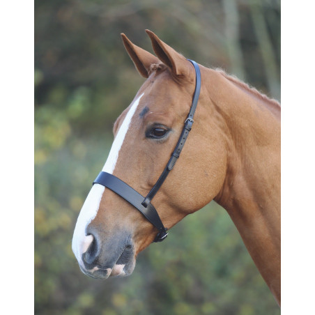 Caveçon Hunter Shires Velociti Gara