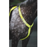Peitoral Shires Equi-Flector® - Amarelo vivo
