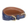 Coleira acolchoada para galgo Shires Digby & Fox - Marinho