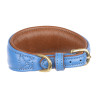 Coleira acolchoada para galgo Shires Digby & Fox - Real