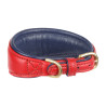 Coleira acolchoada para galgo Shires Digby & Fox - Escarlate