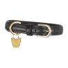 Coleira para cão em couro acolchoado Shires Digby & Fox - Preto