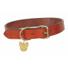 Coleira de couro plana Shires Digby & Fox para cão - Fulvo