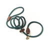 Laisse lasso em corda fina Shires Digby & Fox - Verde