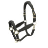 Caveçalho acolchoado Shires Arma - Preto